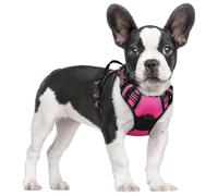 rabbitgoo Dog Harness Small Dog No Pull Pet Harness with 2 Leash Clips, Adjustable Soft Padded Pet Vest, Reflective No-Choke with Easy Control Handle for Training or Walking, Rose Red, S