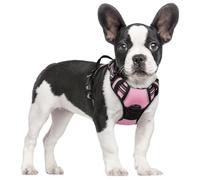 rabbitgoo Dog Harness Small Dog No Pull Pet Harness with 2 Leash Clips, Adjustable Soft Padded Pet Vest, Reflective No-Choke with Easy Control Handle for Training or Walking, Pink, S