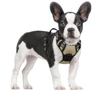 rabbitgoo Dog Harness Small Dog No Pull Pet Harness with 2 Leash Clips, Adjustable Soft Padded Pet Vest, Reflective No-Choke with Easy Control Handle for Training or Walking, Coffee, S