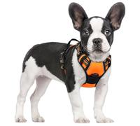 rabbitgoo Dog Harness Small Dog No Pull Pet Harness with 2 Leash Clips, Adjustable Soft Padded Pet Vest Harness, Reflective No-Choke with Easy Control Handle for Training or Walking, Orange, S