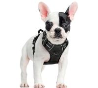 rabbitgoo Dog Harness Small Dog No Pull Pet Harness with 2 Leash Clips, Adjustable Soft Padded Pet Vest Harness, Reflective No-Choke with Easy Control Handle for Training or Walking, Black, S