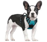 rabbitgoo Dog Harness Small Dog No Pull Pet Harness with 2 Leash Clips, Adjustable Soft Padded Pet Vest, Reflective No-Choke with Easy Control Handle for Training or Walking, Teal S