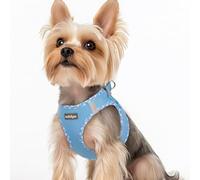 rabbitgoo Dog Harness Small Dog, Step-in Soft Mesh Puppy Harness with Reflective Strips, Lightweight Breathable Pet Vest for Walking Training, Blue & Plaid Trim, XS