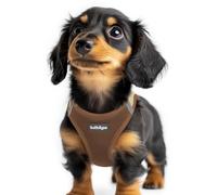 rabbitgoo Dog Harness Small Dog, Step-in Soft Mesh Puppy Harness with Reflective Strips, Lightweight Breathable Pet Vest for Walking Training, Brown & Beige, XXS