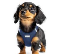 rabbitgoo Dog Harness Small Dog, Step-in Soft Mesh Puppy Harness with Reflective Strips, Lightweight Breathable Pet Vest for Walking Training, Navy Blue, XXS