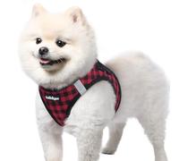 rabbitgoo Dog Harness Small Dog, Step-in Soft Mesh Puppy Harness with Reflective Strips, Lightweight Breathable Pet Vest for Walking Training, Red Plaid, S