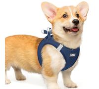 rabbitgoo Dog Harness Small Dog, Step-in Soft Mesh Puppy Harness with Reflective Strips, Lightweight Breathable Pet Vest for Walking Training, Navy Blue, L