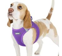 rabbitgoo Dog Harness Small Dog, Step-in Soft Mesh Puppy Harness with Reflective Strips, Lightweight Breathable Pet Vest for Walking Training, Purple, M
