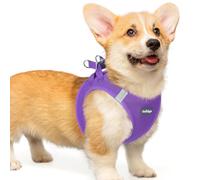 rabbitgoo Dog Harness Small Dog, Step-in Soft Mesh Puppy Harness with Reflective Strips, Lightweight Breathable Pet Vest for Walking Training, Purple, L