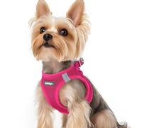 rabbitgoo Dog Harness Small Dog, Step-in Soft Mesh Puppy Harness with Reflective Strips, Lightweight Breathable Pet Vest for Walking Training, Hot Pink, XS