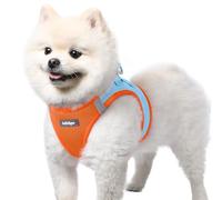 rabbitgoo Dog Harness Small Dog, Step-in Soft Mesh Puppy Harness with Reflective Strips, Lightweight Breathable Pet Vest for Walking Training, Blue & Orange, S