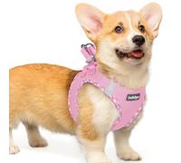 rabbitgoo Dog Harness Small Dog, Step-in Soft Mesh Puppy Harness with Reflective Strips, Lightweight Breathable Pet Vest for Walking Training, Pink & Plaid Trim, L