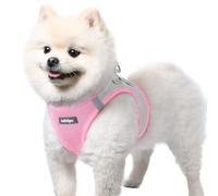 rabbitgoo Dog Harness Small Dog, Step-in Soft Mesh Puppy Harness with Reflective Strips, Lightweight Breathable Pet Vest for Walking Training, Pink & Gray, S