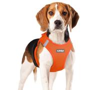 rabbitgoo Dog Harness Small Dog, Step-in Soft Mesh Puppy Harness with Reflective Strips, Lightweight Breathable Pet Vest for Walking Training, Orange,XL