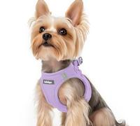 rabbitgoo Dog Harness Small Dog, Step-in Soft Mesh Puppy Harness with Reflective Strips, Lightweight Breathable Pet Vest for Walking Training, Light Purple, XS