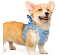 rabbitgoo Dog Harness Small Dog, Step-in Soft Mesh Puppy Harness with Reflective Strips, Lightweight Breathable Pet Vest for Walking Training, Blue & Plaid Trim, L
