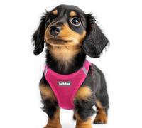 rabbitgoo Dog Harness Small Dog, Step-in Soft Mesh Puppy Harness with Reflective Strips, Lightweight Breathable Pet Vest for Walking Training, Hot Pink, XXS