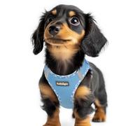 rabbitgoo Dog Harness Small Dog, Step-in Soft Mesh Vest, Blue Plaid Trim