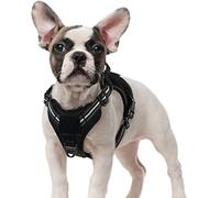 rabbitgoo Dog Harness Small Dog, Tactical Adjustable Puppy Harness with Molle Panel, Breathable Military Vest, No Pull Reflective Pet Vest Easy Control Handle for Walking Training, Black, S
