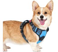 rabbitgoo Dog Harness Small Dog with Neck Release Buckle, Adjustable Soft Padded Puppy Pet Vest with Easy Control Handle, Reflective No Pull Dog Harness with Front Back Clips, Sky Blue, M