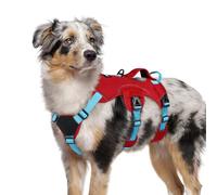 rabbitgoo Escape-Proof Dog Harness Medium with Large Handle, Anti-Pull Reflective Working Service Pets Vest, Breathable Pets Vest, Adjustable Lift Support Harness Large Dogs Outdoor, M, Red & Blue