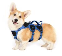 rabbitgoo Escape-Proof Dog Harness Medium with Large Handle, Anti-Pull Reflective Working Service Pets Vest, Breathable Pets Vest, Adjustable Lift Support Harness Large Dogs Outdoor, S, Blue & Black