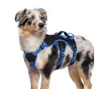 rabbitgoo Escape-Proof Dog Harness Medium with Large Handle, Anti-Pull Reflective Working Service Pets Vest, Breathable Pets Vest, Adjustable Lift Support Harness Large Dogs Outdoor, M, Blue & Black