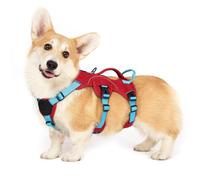 rabbitgoo Escape-Proof Dog Harness Medium with Large Handle, Anti-Pull Reflective Working Service Pets Vest, Breathable Pets Vest, Adjustable Lift Support Harness Large Dogs Outdoor, S, Red & Blue