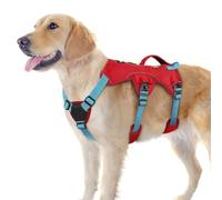 rabbitgoo Escape-Proof Dog Harness Medium with Large Handle, Anti-Pull Reflective Working Service Pets Vest, Breathable Pets Vest, Adjustable Lift Support Body Harness Large Dogs Outdoor，L, Red & Blue