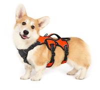 rabbitgoo Escape-Proof Dog Harness Small Dog with Handle, Anti-Pull Reflective Working Service Pets Vest, Breathable Pets Vest Puppy, Adjustable Lift Support Body Harness Outdoor, S, Orange