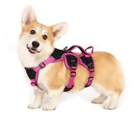 rabbitgoo Escape-Proof Dog Harness Small Dog with Handle, Anti-Pull Reflective Working Service Pets Vest, Breathable Pets Vest, Adjustable Lift Support Body Harness Outdoor, S, Pink & Black