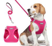rabbitgoo Small Dog Harness and Lead Set, Step-in Soft Mesh Puppy Harness | Easy-on, Lightweight Breathable Vest, Secure Buckle, Reflective, with 1.5m Lead, for Small Medium Dogs, L, Hot Pink