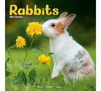 Rabbits Calendar 2026 | 12 Month Wall Calendar | Avonside Publishing | Plastic Free Packaging