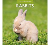 Rabbits - 2026 Square Wall Calendar - by Red Robin Publishing