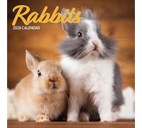 Rabbits 2026 Traditional Calendar
