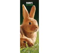 Rabbits 2027 Slim Calendar