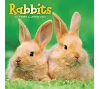 Rabbits Calendar 2026