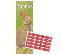 Rabbits Calendar 2026 Slimline Calendar with FREE Organisational Stickers, Rabbit Gift
