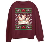 Rabbits Christmas Sweatshirt for Children Festive Adorable Farm Animal Christmas Jumper for Boys Girls Ugly Xmas Sweater for Children, 12-13 Years, Maroon