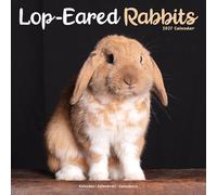 Rabbits Lop Eared