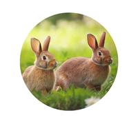 Rabbits On Grass Print Coasters Set Of 6 Leather Heat Resistant Drink Coasters Resuable Cup Mat For Tabletop Protection Office Resturant Home Gifts