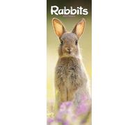 Rabbits Slim 2025 Slimline Wall Calendar | Animal, Pet, Wildlife Calendar