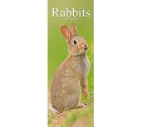 Rabbits Slim 2026 Calendar | Slimline Wall Calendar | Animal Gift | Plastic Free Packaging | by Avonside Publishing
