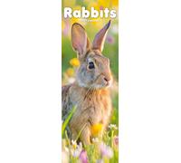 Rabbits Slim 2027 Calendar | Slimline Wall Calendar | Animal Gift | Plastic Free Packaging | by Avonside Publishing