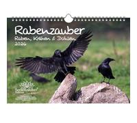Rabenzauber Ravens, Crows and Jackdaws DIN A4 Calendar for 2026 Set Contents: 1 x Calendar, 1 x Christmas Pendant, 1 x Greeting Tag (Total 3 Pieces)