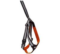 RAC Advanced 2 in 1 Car Safety Harness for Dogs, Jumbo
