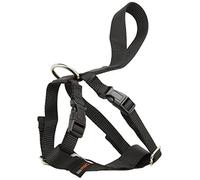 RAC Car Harness, Small
