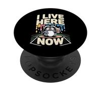 Raccoon Ballfield Ice Cream Baseball Field I Live Here Now PopSockets Adhesive PopGrip
