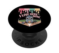 Raccoon Ballfield Ice Cream Baseball Field I Live Here Now PopSockets Adhesive PopGrip