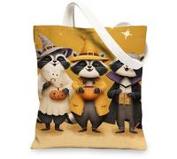 Raccoon Canvas Tote Bag, Cute Animal Pattern Reusable Shopping Bags, Fun Fanciful Lightweight Washable Shoulder Strap Canvas Bags for Gym Outdoor Travel Beach Picnic 13x15 Inch